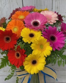 Bright and Cheerful Mixed Gerbera Bouquet