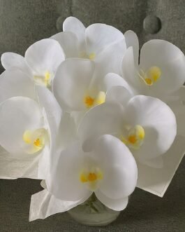 Elegant White Orchids Bouquet